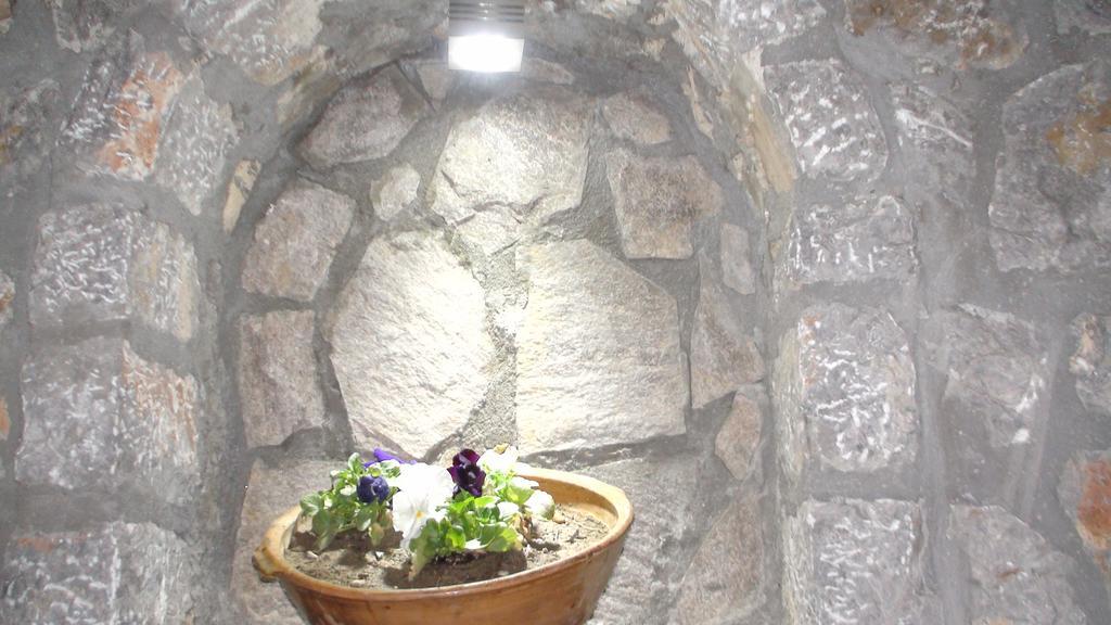 Villa Metulevi Ohrid Extérieur photo