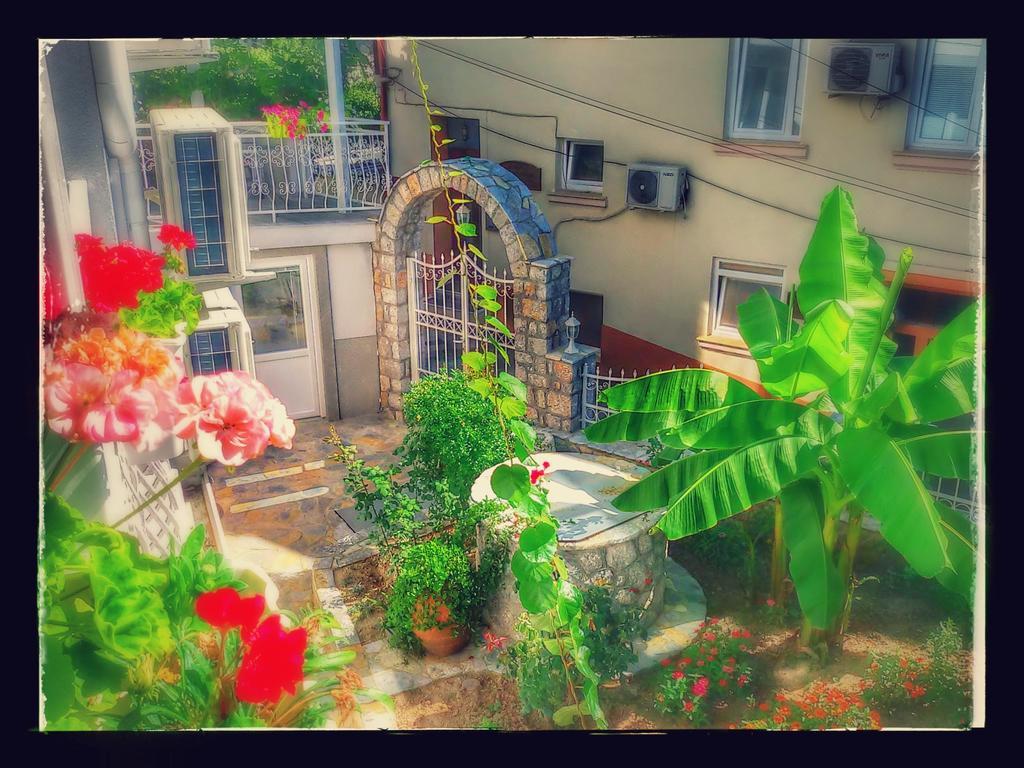 Villa Metulevi Ohrid Extérieur photo